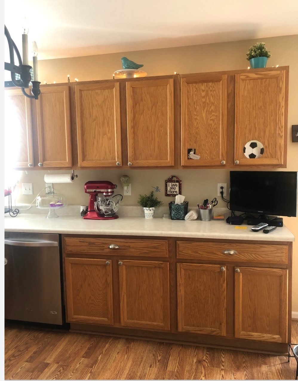 Square Shaker, Slab Drawer, Arctic White Walls, Metro Gray Bases, Cove